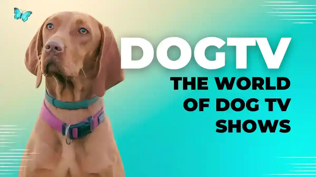 Unleash the Fun: Exploring the World of Dog TV Shows